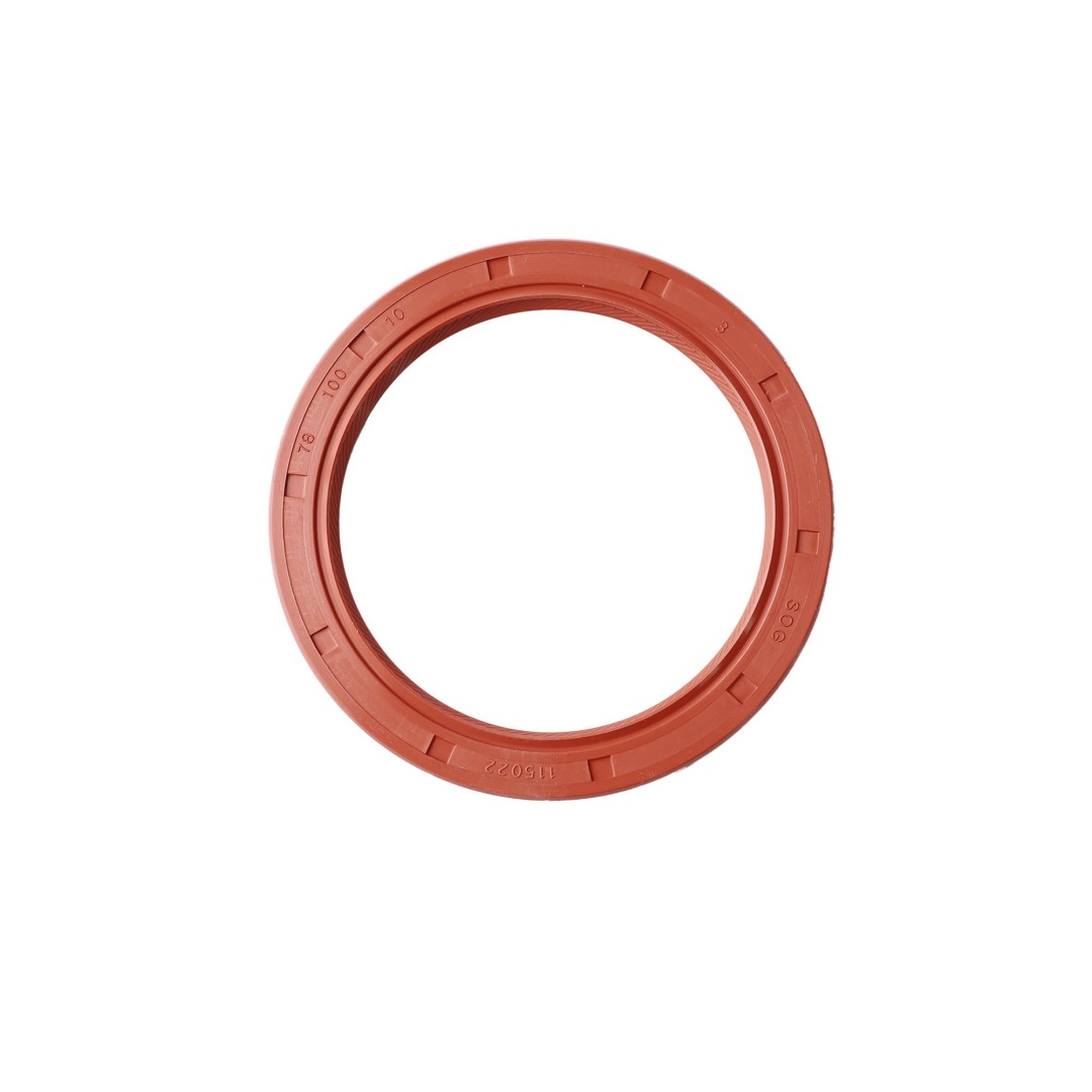 RETENEDOR 78-100-10 HTCL VMQ