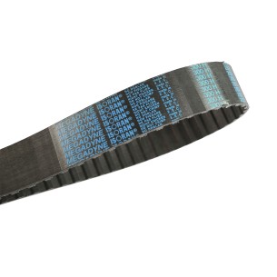 BANDA DE DISTRIBUCION 300H075 2